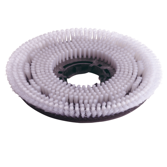 Numatic 2 x brosse à récurer en nylon 220 mm (NUC244NX/TTB420) | Paquet (1 pièce)