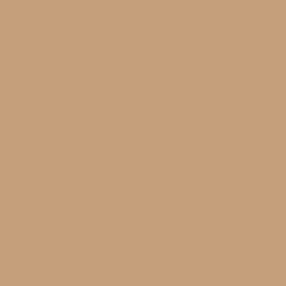Une teinte marron clair, uniforme et intense, recouvre l'image, rappelant les serviettes Bio-Dunisoft 20 x 20 cm de la société Duni GmbH — sans motifs, textures ni objets visibles.