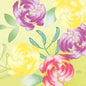 Les « serviettes 33 cm, 3 épaisseurs, Soft Tropics » de la société Duni GmbH arborent des motifs floraux et des feuilles vertes aux couleurs vives, peints au pinceau sur un fond jaune clair : elles sont idéales pour votre garden-party. Le paquet contient 50 serviettes en papier de grande qualité, chacune ornée d'un discret logo Duni bleu.