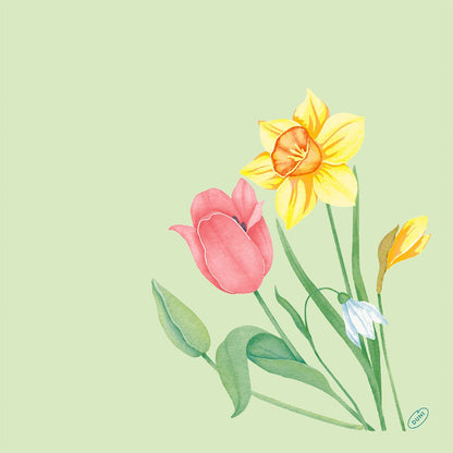 Illustration d'une tulipe rose, d'une jonquille jaune, d'une petite fleur blanche et d'un bouton jaune sur un fond vert clair - idéal pour le serviette Bio-Dunisoft 40x40cm de Duni GmbH.