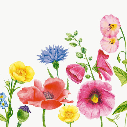 Fleurs sauvages colorées - coquelicots rouges, boutons d'or jaunes, roses trémières roses, bleuets bleus - arrangées sur un fond blanc simple, idéal pour le serviette Bio-Dunisoft 40x40cm de Duni GmbH.