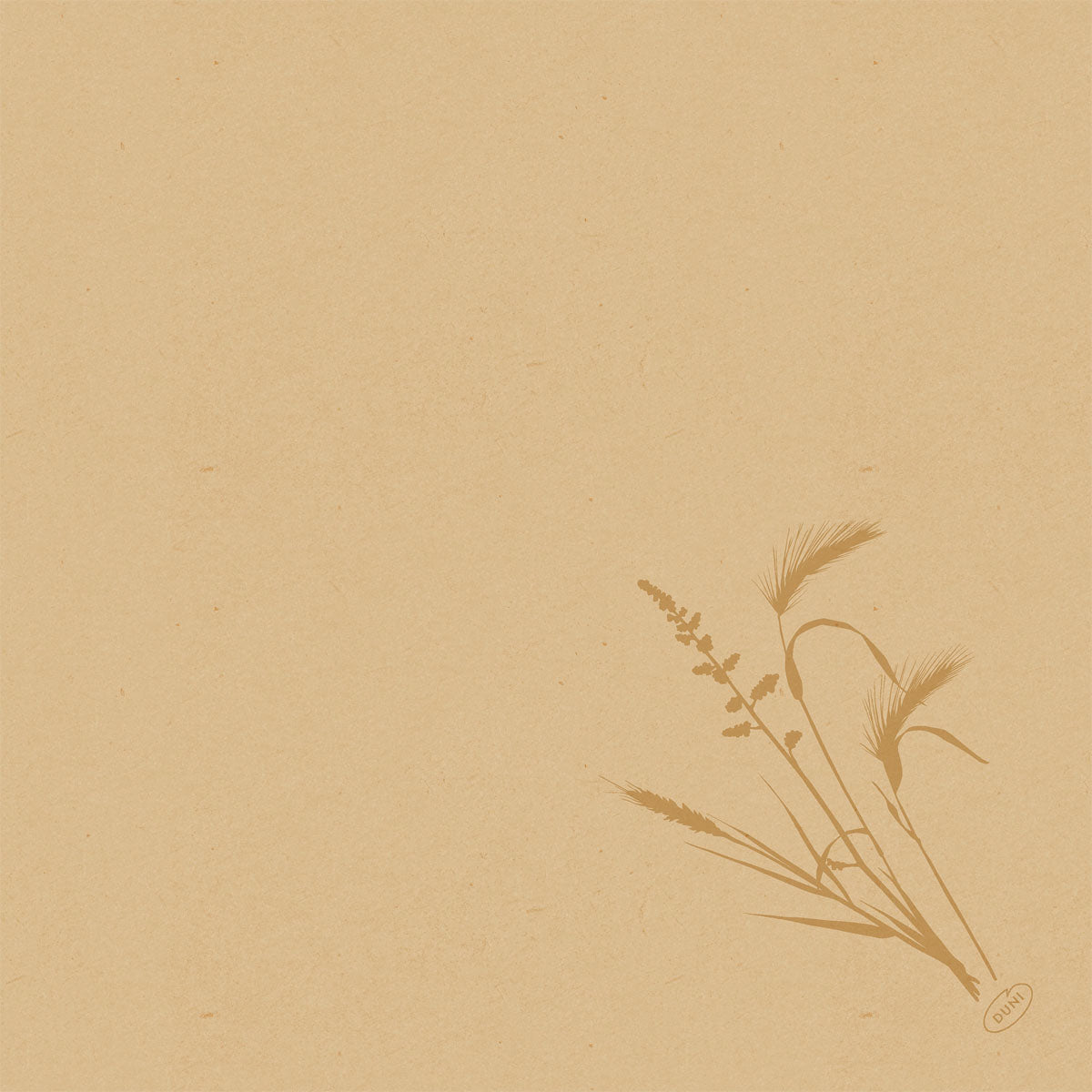 Papier texturé beige avec une simple illustration botanique d'herbe brune dans le coin inférieur droit. Parfait pour la présentation du serviette Bio-Dunisoft 40x40cm de Duni GmbH. Le reste de la page est vide.