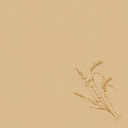 Papier texturé beige avec une simple illustration botanique d'herbe brune dans le coin inférieur droit. Parfait pour la présentation du serviette Bio-Dunisoft 40x40cm de Duni GmbH. Le reste de la page est vide.