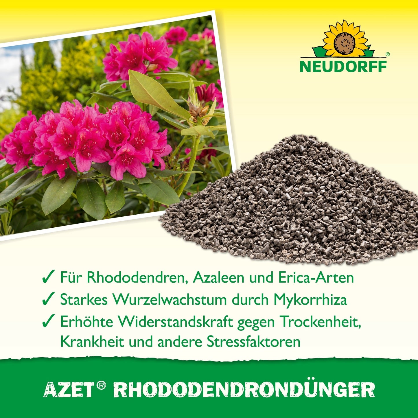 Une pile d'engrais Azet Rhododendron de Neudorff Shop se trouve à côté d'un rhododendron rose en fleurs. Le texte en dessous décrit les avantages pour les rhododendrons, les azalées et les ericas. En haut, le logo Neudorff est visible.