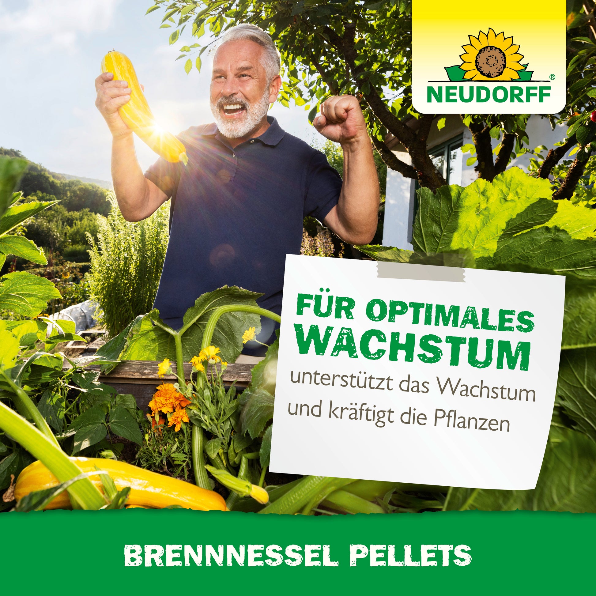 Ein älterer Mann hält in einem üppigen Garten zwei große gelbe Zucchini, lächelt und hebt die Faust. Ein Schild in deutscher Sprache wirbt für Neudorff Shop Brennnessel Pellets als Pflanzen Stärkungsmittel für optimales Pflanzenwachstum.