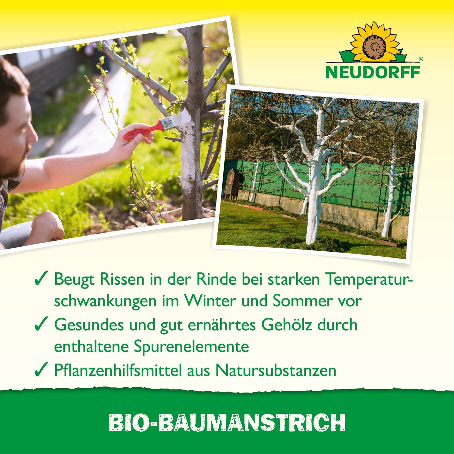 Une personne applique avec un pinceau le Bio-Baumanstrich de Neudorff Shop sur un tronc d'arbre. À proximité se trouvent des arbres avec des troncs blancs dans l'herbe. Le texte allemand explique que ce produit aide à protéger et entretenir l'écorce des arbres.