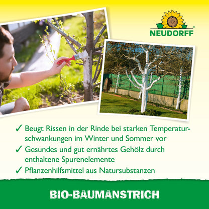 Une personne applique avec un pinceau le Bio-Baumanstrich de Neudorff Shop sur un tronc d'arbre. À proximité se trouvent des arbres avec des troncs blancs dans l'herbe. Le texte allemand explique que ce produit aide à protéger et entretenir l'écorce des arbres.