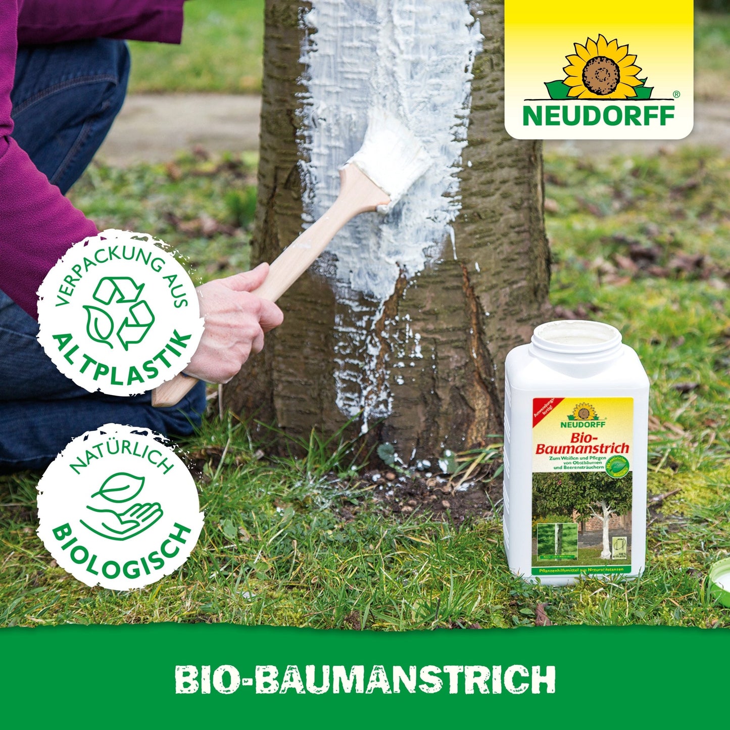 Quelqu'un applique du Bio-Baumanstrich blanc du Neudorff Shop sur un tronc d'arbre. Le récipient marqué de logos écologiques souligne l'utilisation durable pour protéger l'écorce des arbres dans le cadre d'un entretien responsable des arbustes.