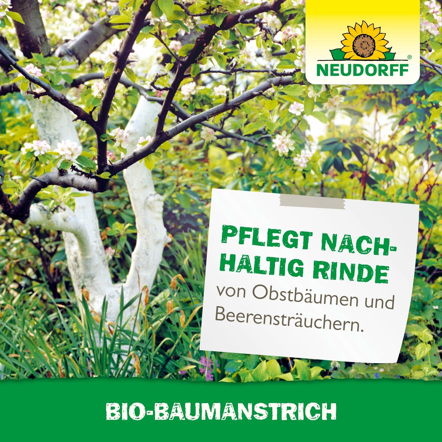 Un arbre fruitier avec une écorce blanche se tient dans un jardin. Un panneau indique : "Entretient durablement l'écorce des arbres fruitiers et des arbustes à baies". Le nom du produit et le logo du Bio-Baumanstrich de Neudorff Shop sont visibles.