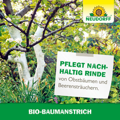 Un arbre fruitier avec une écorce blanche se tient dans un jardin. Un panneau indique : "Entretient durablement l'écorce des arbres fruitiers et des arbustes à baies". Le nom du produit et le logo du Bio-Baumanstrich de Neudorff Shop sont visibles.