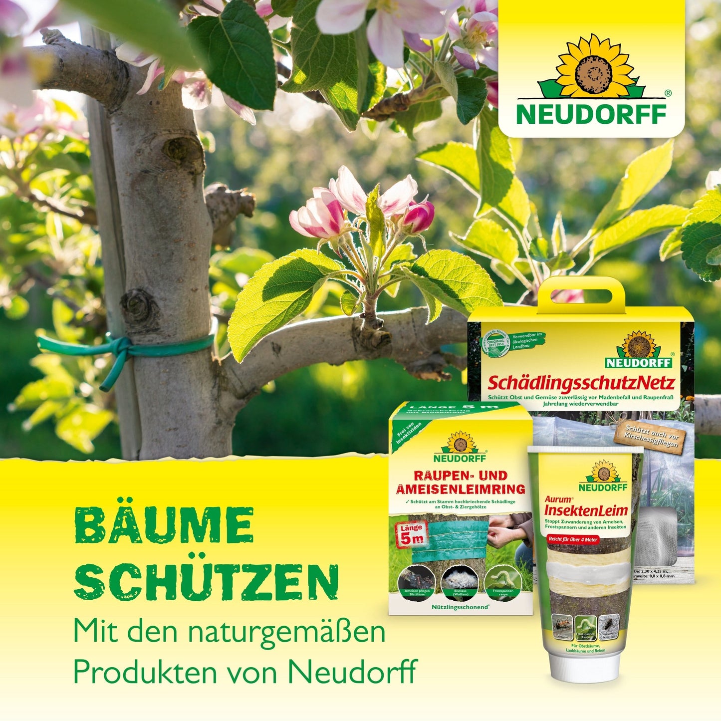Une branche d'arbre attachée avec un ruban vert au milieu de fleurs roses. Devant se trouve le Bio-Baumanstrich de Neudorff Shop avec le texte : "Protéger l'écorce des arbres. Avec Bio-Baumanstrich de Neudorff Shop."