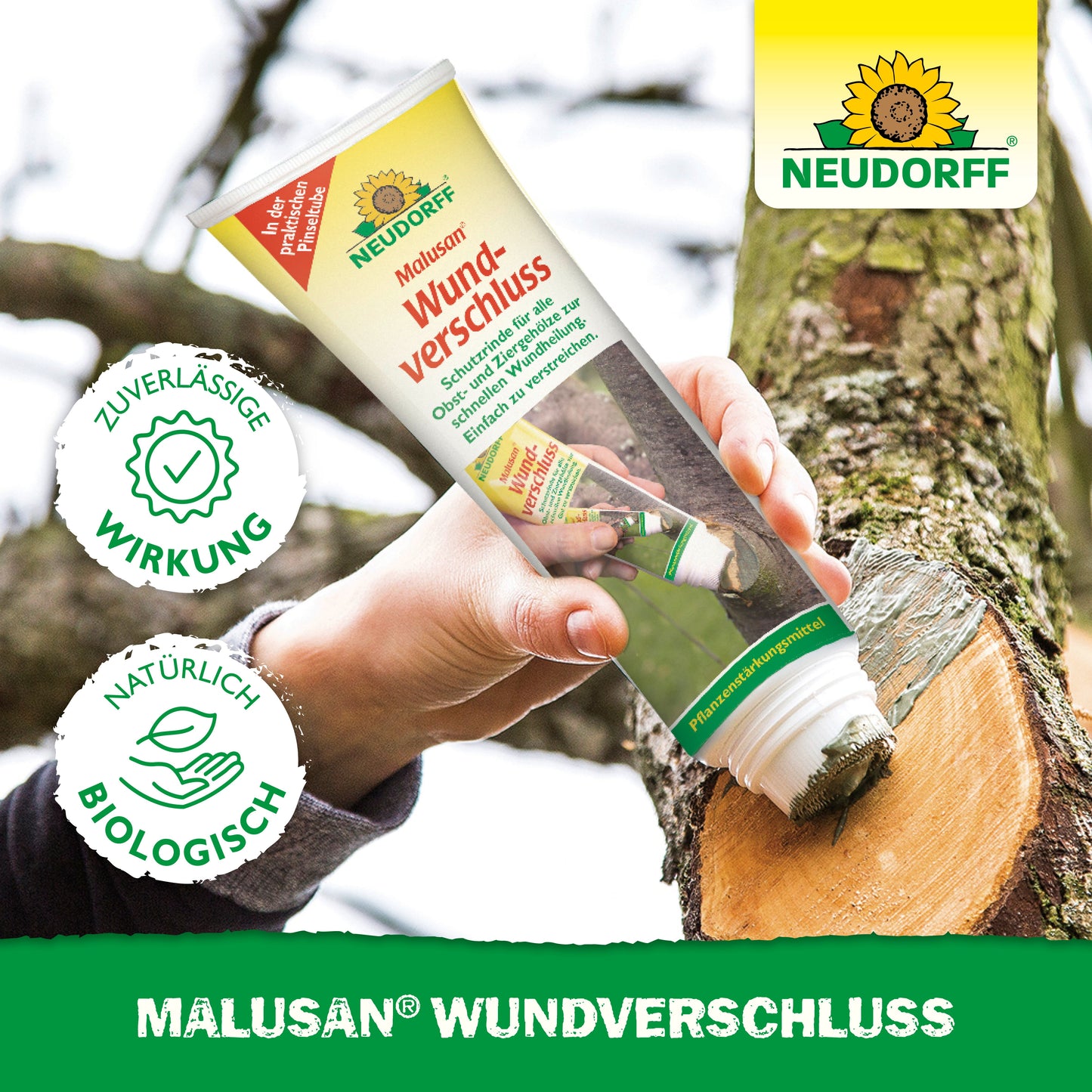 Eine Hand trägt den Malusan Wundverschluss aus dem Neudorff Shop nach dem Schnitt auf einen Ast auf. Auf der Verpackung sind das Neudorff-Logo sowie Symbole zu sehen, die die zuverlässige Wirkung und die natürlichen, biologischen Inhaltsstoffe hervorheben.