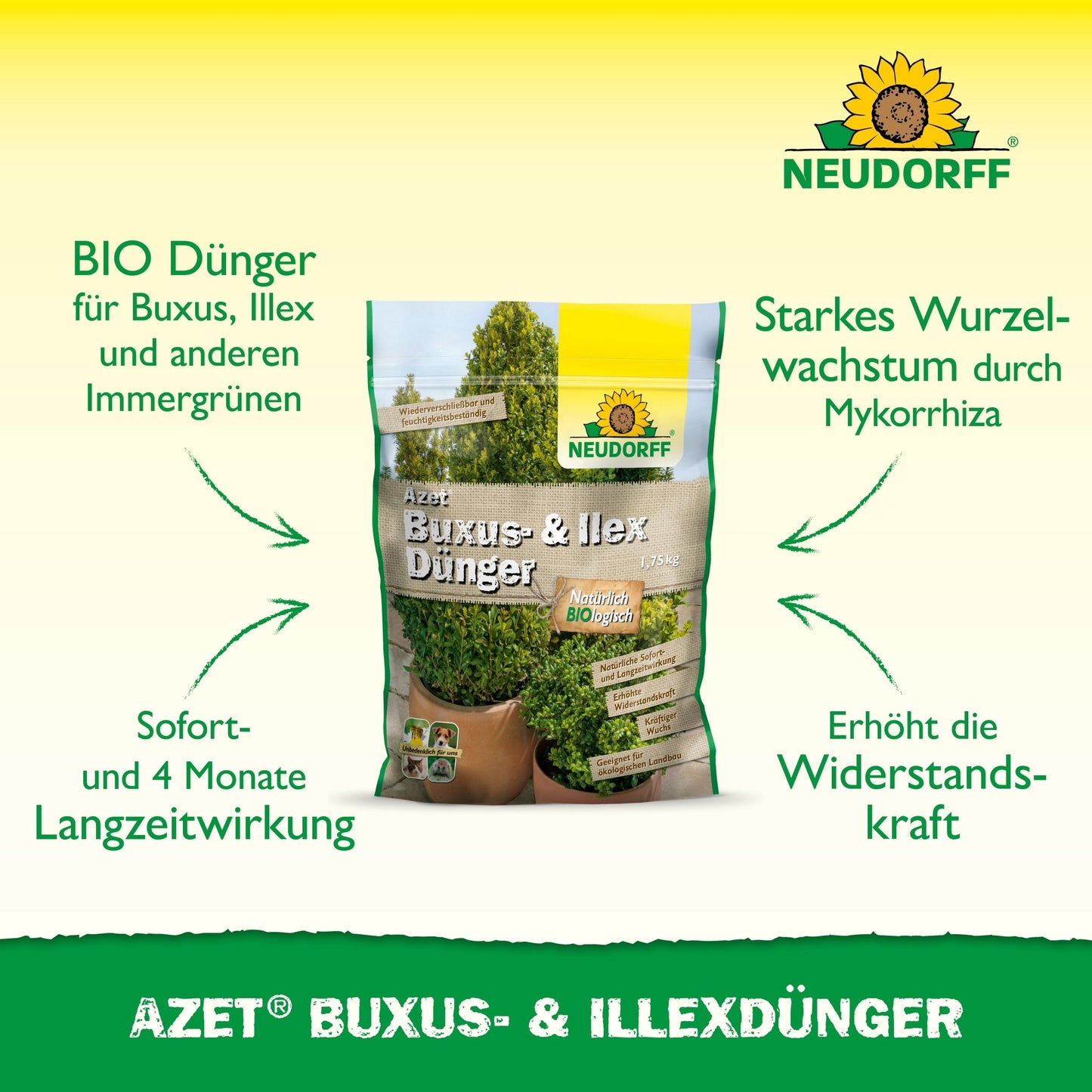 Au milieu se trouve un sachet de Neudorff Shop Azet Buxus- & IlexDünger, qui indique en lettres vertes les avantages durables pour les buis et les houx, ainsi que son rôle dans le renforcement de la résistance des plantes.
