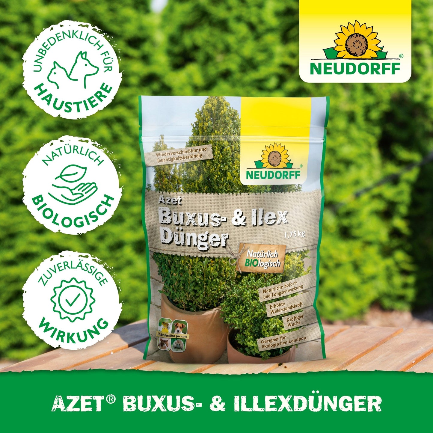 Un sachet de Neudorff Shop Azet Buxus- & IlexDünger, un engrais organique pour buis et houx, est placé à l'extérieur sur une table. L'emballage indique l'innocuité pour les animaux domestiques et les ingrédients naturels, tandis qu'en arrière-plan, on voit des arbustes verts luxuriants.