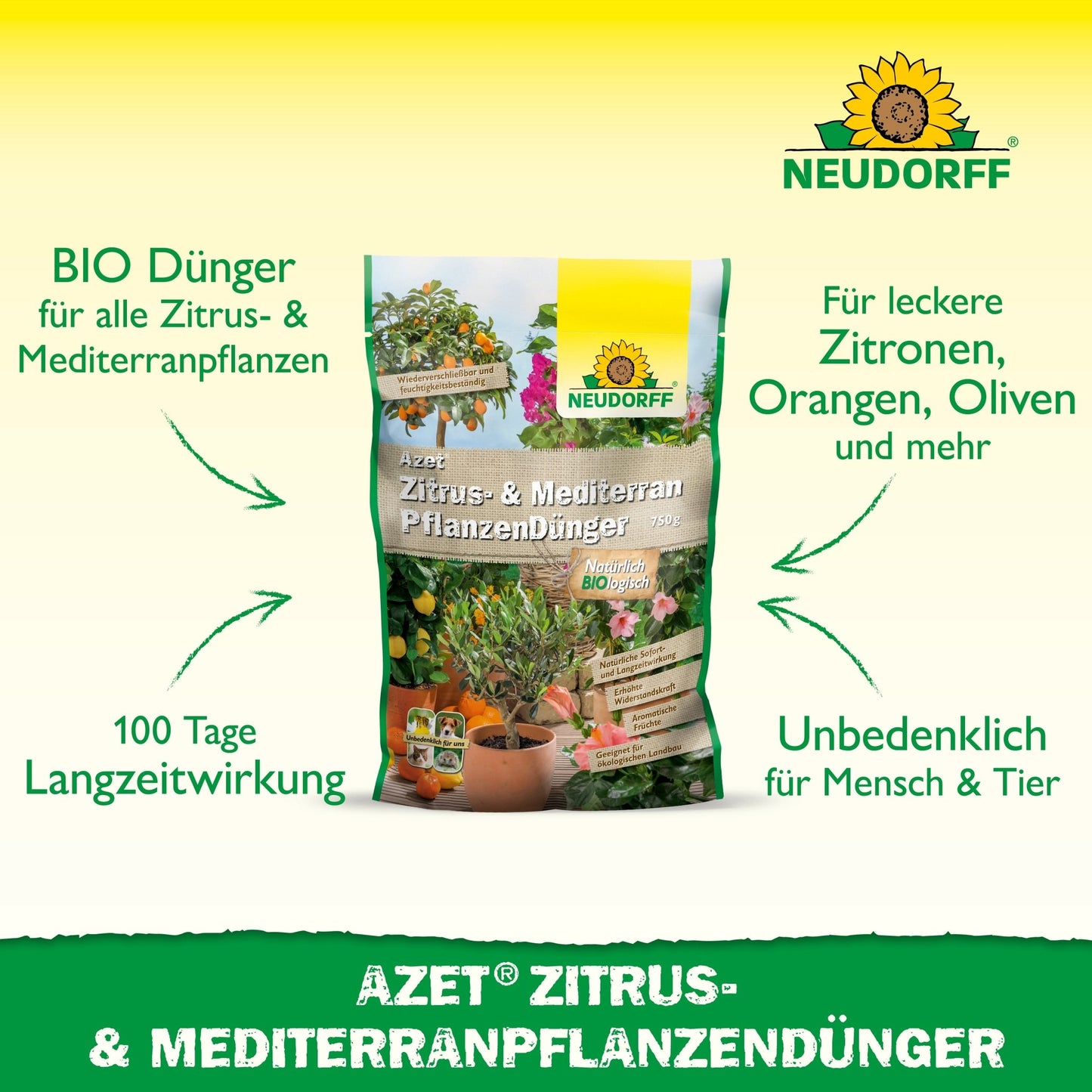 Représenté est l'Azet Engrais pour Plantes Méditerranéennes et Agrumes de Neudorff Shop, un engrais complet organique pour des plantes en pot méditerranéennes comme les citrons, olives, oranges et lauriers-roses avec un effet durable.