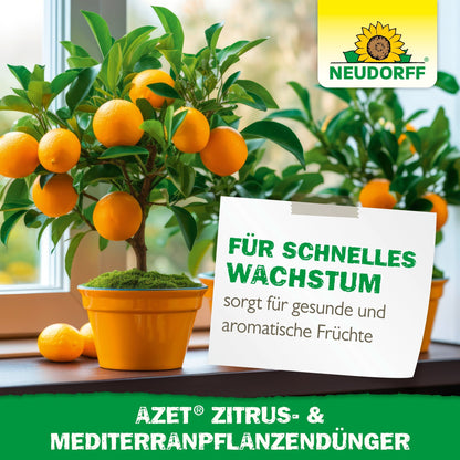 Deux orangers en pot avec des fruits mûrs sont posés sur un rebord de fenêtre. Un panneau en allemand fait la promotion de "croissance rapide" et "fruits aromatiques" pour les plantes en pot méditerranéennes avec l'Azet Engrais pour Plantes Méditerranéennes et Agrumes de Neudorff Shop.