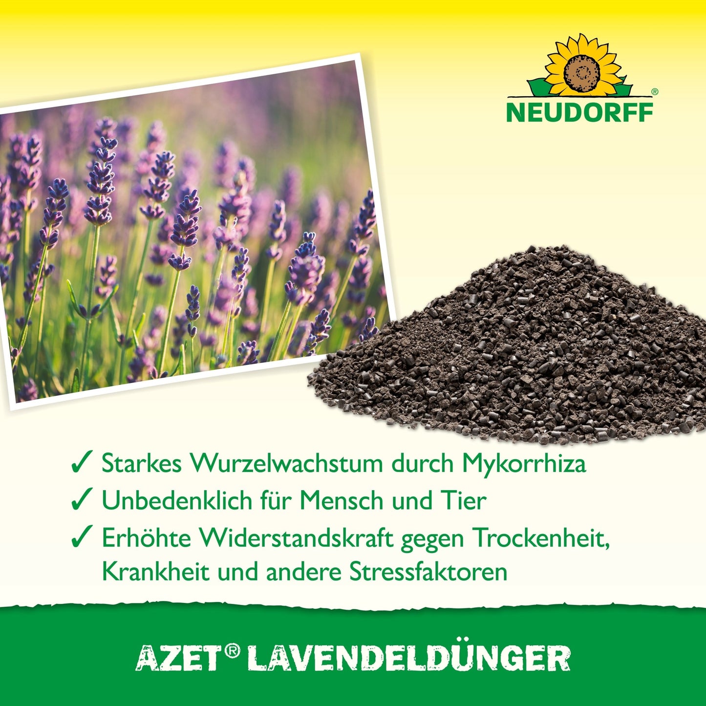 Azet LavendelDünger de Neudorff Shop se présente sous forme de granulés à côté de la lavande avec des fleurs bleu-violet. Le texte allemand met en avant les avantages, en haut à droite se trouve le logo tournesol de Neudorff.