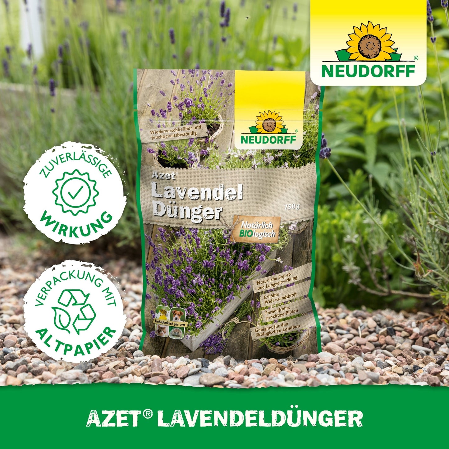 Un sac de Neudorff Shop Azet LavendelDünger est posé sur un chemin de jardin en gravier à côté de lavande avec des fleurs bleu-violet. Sur l'emballage, il est écrit "respectueux de l'environnement" en allemand.