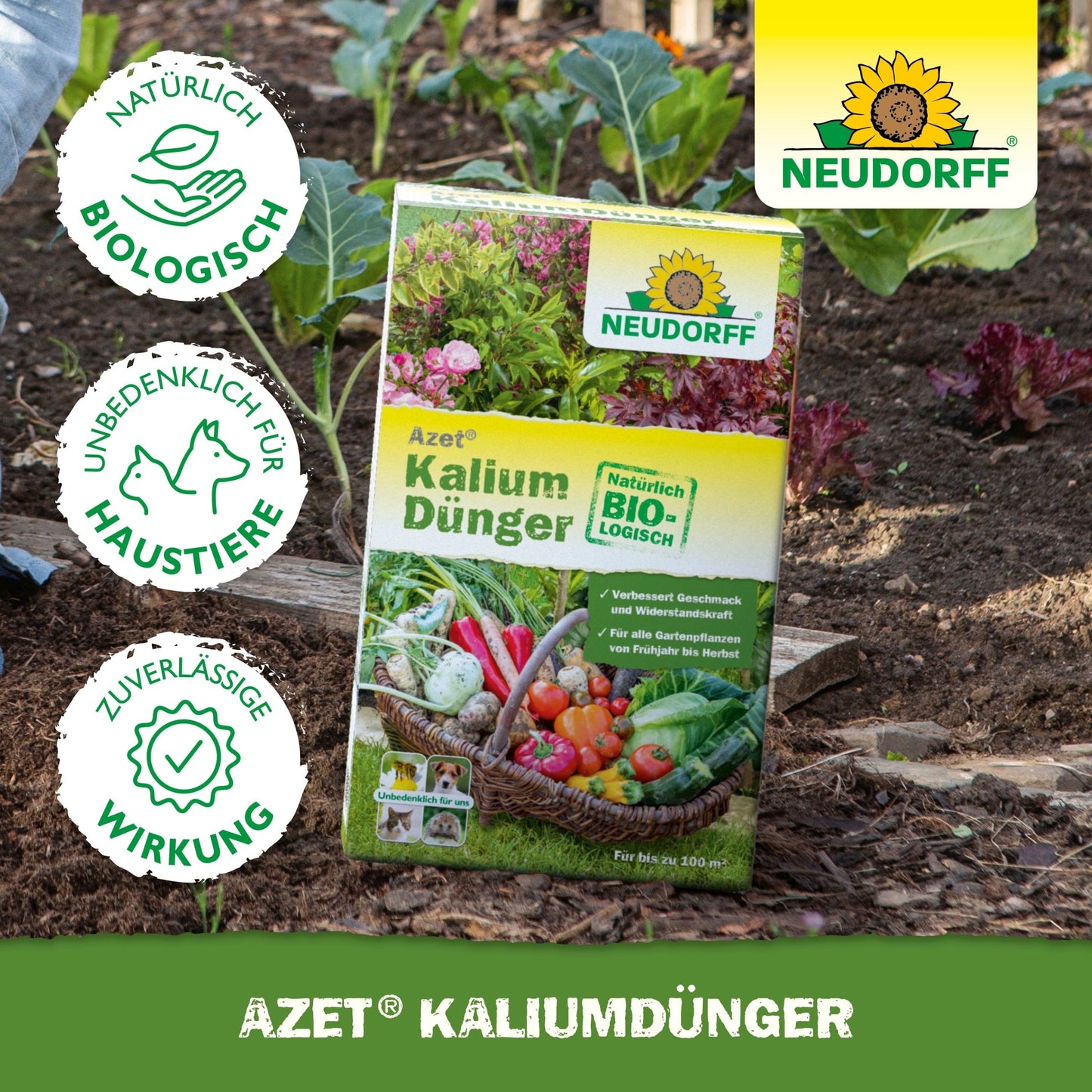 Une boîte d'Azet KaliumDünger du magasin Neudorff est posée sur la terre du jardin entre des légumes et des plantes vertes et montre des informations produit et des certifications. Idéal pour fertiliser les plantes et prévenir les carences en potassium.