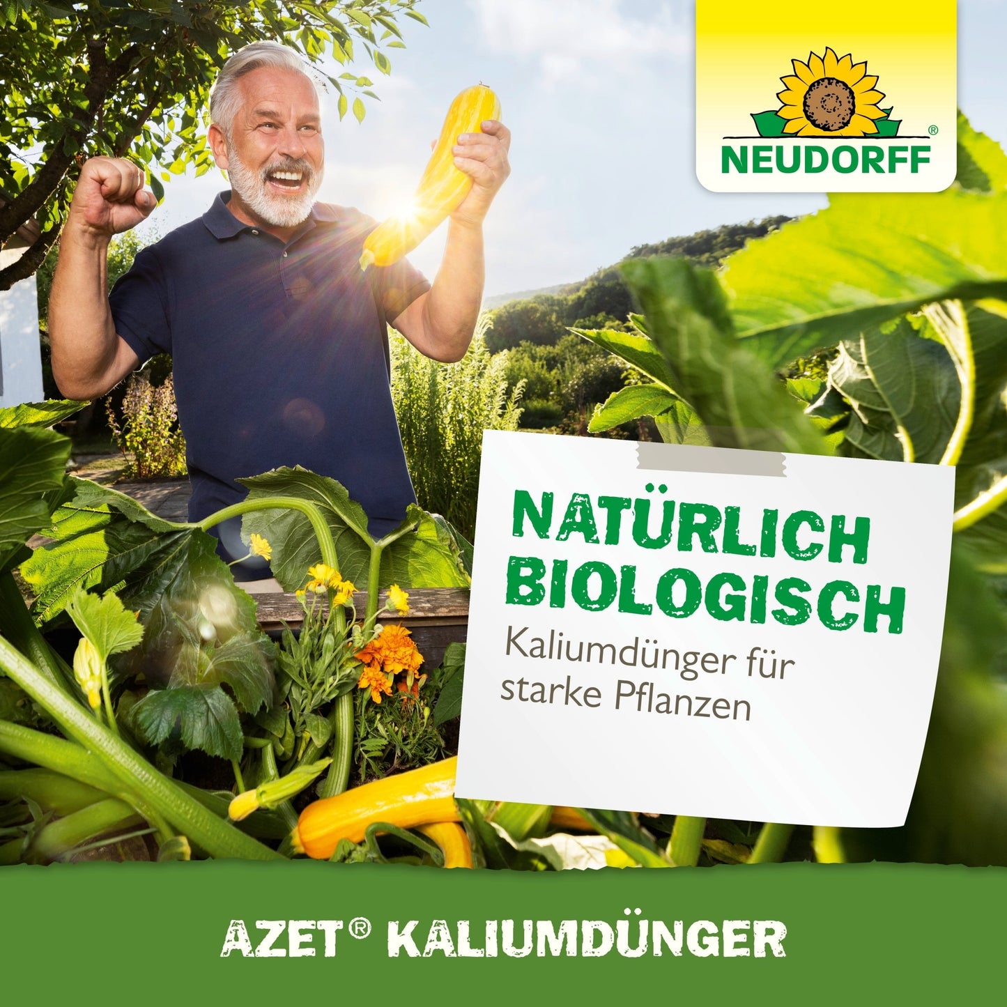 Un homme aux cheveux gris se tient dans un jardin, sourit et tient une courgette jaune avec le poing levé. Un panneau indique "Naturellement biologique, Azet KaliumDünger pour fertiliser des plantes fortes." Le branding du magasin Neudorff est visible.