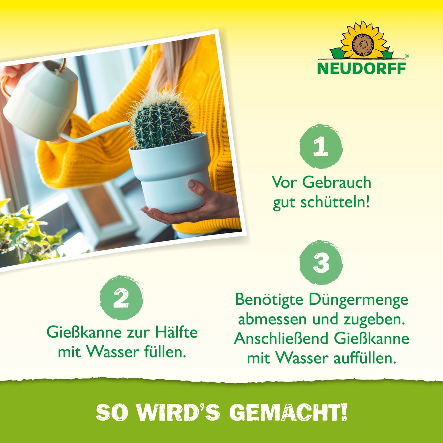 Une personne en pull jaune verse de l'eau et de l'engrais liquide Azet pour cactus et succulentes du Neudorff Shop dans un pot avec un petit cactus, suivant les instructions allemandes pour fertiliser les cactus et succulentes.