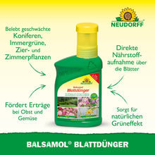 Une bouteille verte de Neudorff Shop Balsamol Engrais foliaire se tient sur un fond jaune et vert, avec un texte soulignant ses avantages pour les plantes persistantes, les conifères et l'absorption rapide des nutriments.