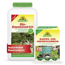 Le kit de protection des arbres Neudorff Shop se distingue par son branding vert-jaune caractéristique. Tant sur la bouteille de peinture bio pour arbres que sur la boîte de ceinture de glu pour chenilles et fourmis, on trouve des motifs d'arbres ornés d'un ruban adhésif vert pour la protection des arbres.