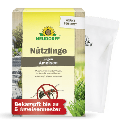 La boîte de Neudorff Shop Nützlinge gegen Ameisen montre un texte allemand, des images de fourmis, une maison, de l'herbe et un logo de soleil. Un paquet blanc est partiellement visible. Une bannière rouge indique la lutte efficace contre les nids de fourmis par les nématodes.