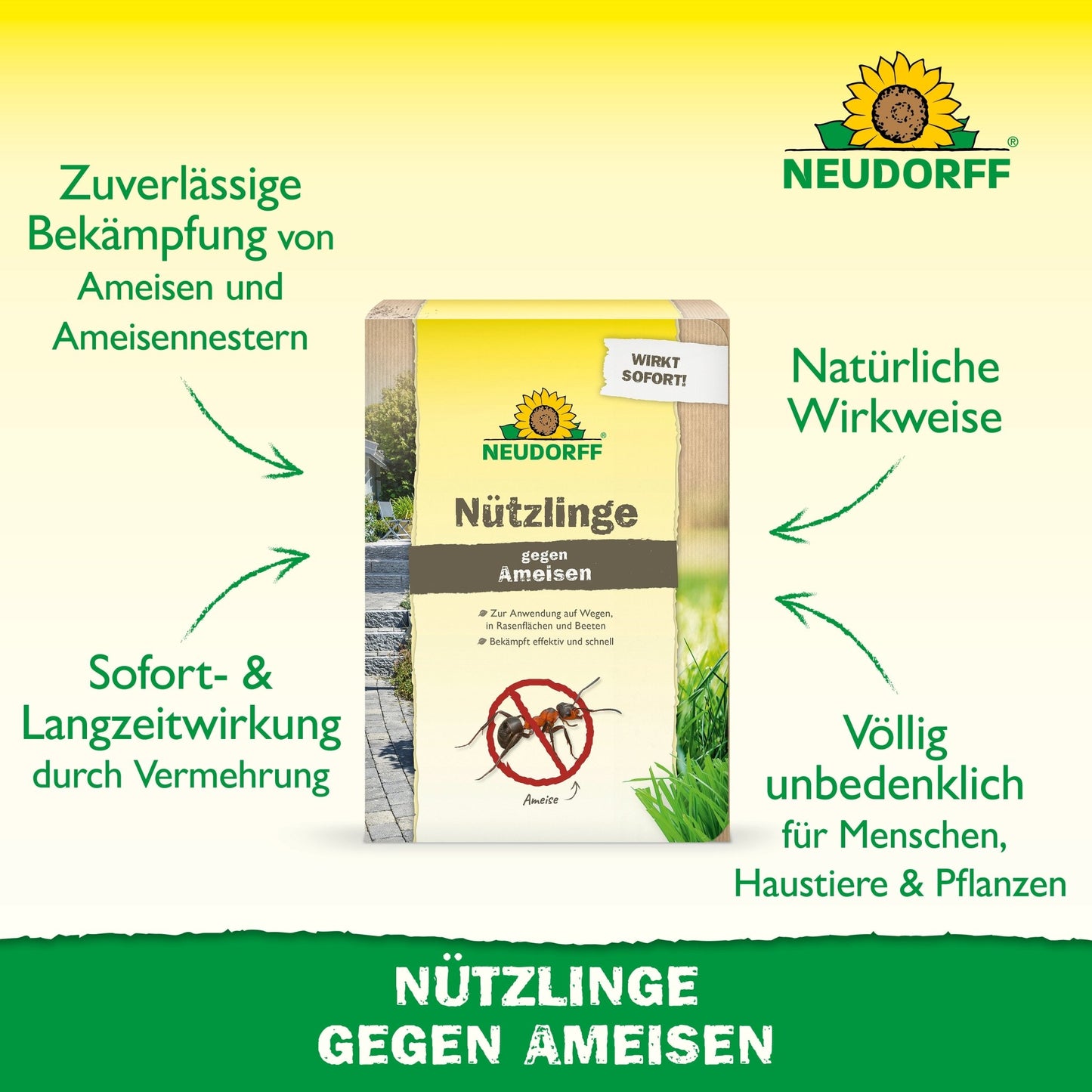 Au centre se trouve une boîte "Nützlinge gegen Ameisen" de Neudorff Shop avec un branding vert et jaune. Le texte allemand explique que les nématodes combattent les nids de fourmis de manière efficace et naturelle, sûr pour les humains, les animaux et les plantes.
