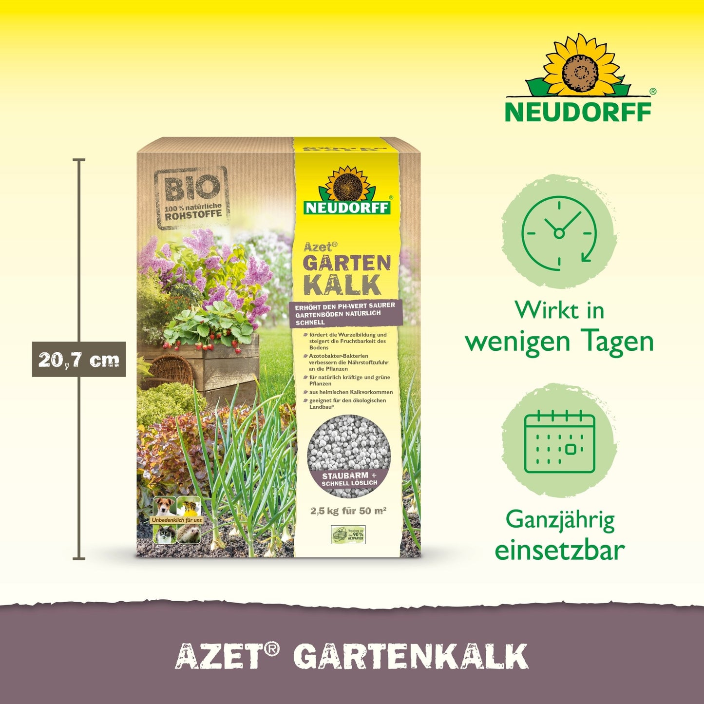 Tilleul de jardin Azet