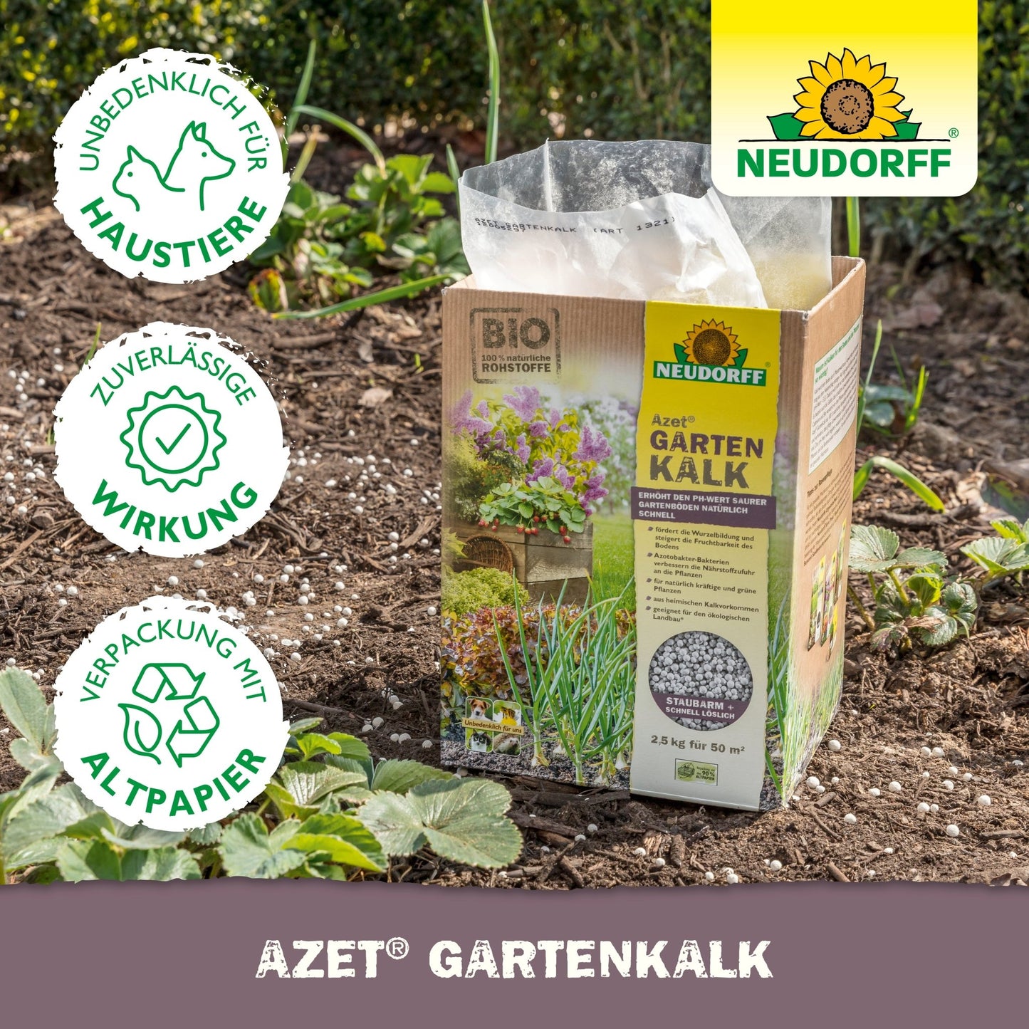 Tilleul de jardin Azet