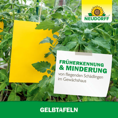 Un piège adhésif à plaques jaunes grand format du Neudorff Shop est suspendu entre des plants de tomates dans une serre. Un panneau indique "Détection précoce & réduction des ravageurs volants des plantes en serre". Le logo Neudorff est visible.