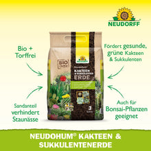 Un sac beige de 3 litres Neudorff Shop NeudoHum Terre pour Cactus & Succulentes est debout. La terre sans tourbe empêche la rétention d'eau et est idéale pour une croissance saine des cactus, succulentes et plantes bonsaï.