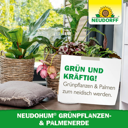 Mehrere grüne Zimmerpflanzen in Körben stehen auf Fliesen am Fenster. Ein Schild wirbt für "NeudoHum Grünpflanzen- & PalmenErde" von Neudorff Shop - torffrei und mit natürlichem Wasserspeicher.