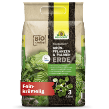 Un sac de 3 litres de NeudoHum Terreau pour plantes vertes & palmiers du magasin Neudorff dans un emballage beige-vert avec des images de plantes, des informations sur le produit, une étiquette rouge "finement granuleux" et une mention de sa capacité naturelle de rétention d'eau.