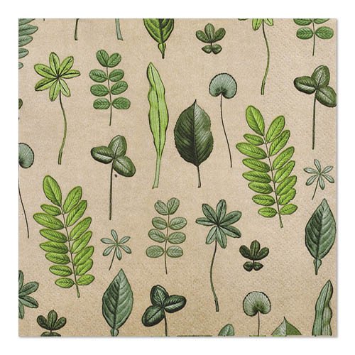 Les PAPSTAR GmbH 20 serviettes (33 x 33 cm, 3 plis, 1/4 pli, Design Set 6) sont des serviettes carrées beiges avec un motif botanique et de feuilles vertes dessinées à la main.