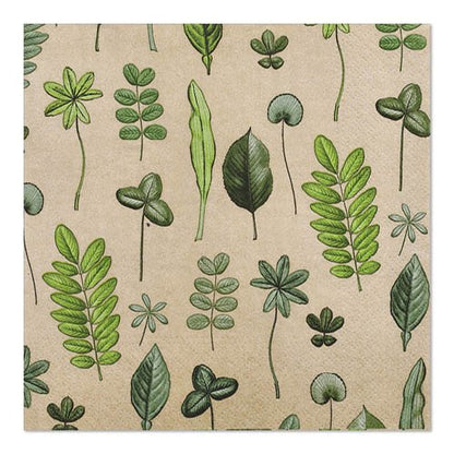 Les PAPSTAR GmbH 20 serviettes (33 x 33 cm, 3 plis, 1/4 pli, Design Set 6) sont des serviettes carrées beiges avec un motif botanique et de feuilles vertes dessinées à la main.