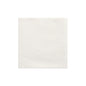 Une seule PAPSTAR serviette 1/4 pli, 24x24 cm, blanche de la "DAILY Collection" (PAPSTAR GmbH) est posée à plat sur un fond blanc et est vue de dessus.
