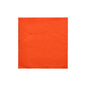 Une PAPSTAR serviette 1/4-pli, 24x24 cm en nectarine de la "DAILY Collection" est placée au centre sur fond blanc. Cette serviette de la PAPSTAR GmbH a une surface subtilement structurée et est livrée dans un pli pratique 1/4 (20 pièces).
