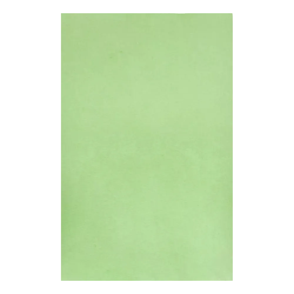 Une feuille lisse de papier filtre pour plateau de couverture crêpe dentaire AMPri de couleur vert clair, mesurant 18 x 28 cm, fabriquée par AMPri Handelsgesellschaft mbH, sans marques ni ornements.