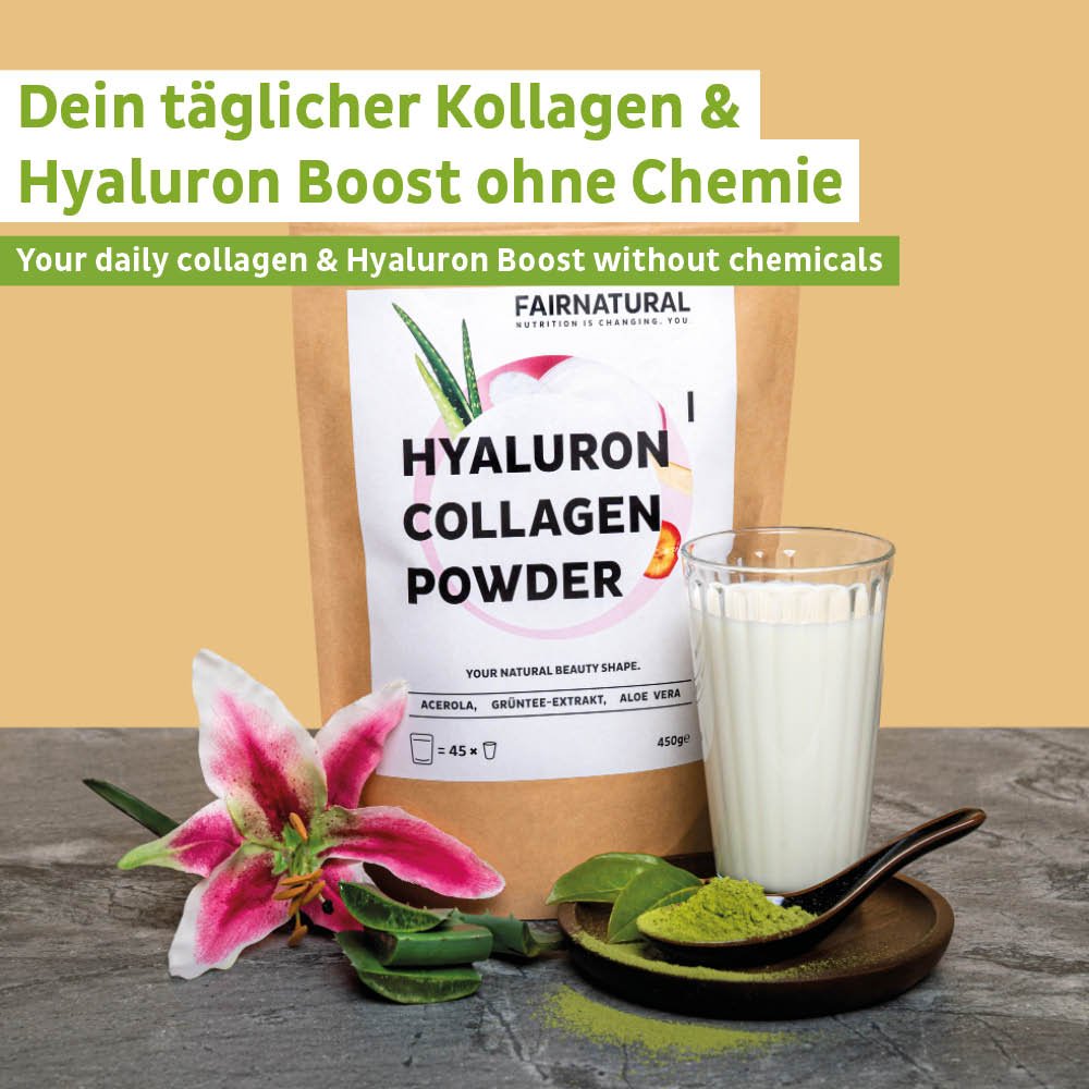 Poudre hyaluronique de collagène