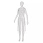 Un mannequin blanc présente les tabliers jetables AMPri light, blancs, 75 x 125 cm (sachet de 100 pièces), un tablier jetable transparent sans manches, idéal pour l'hygiène et la transformation alimentaire, sur un fond blanc simple.