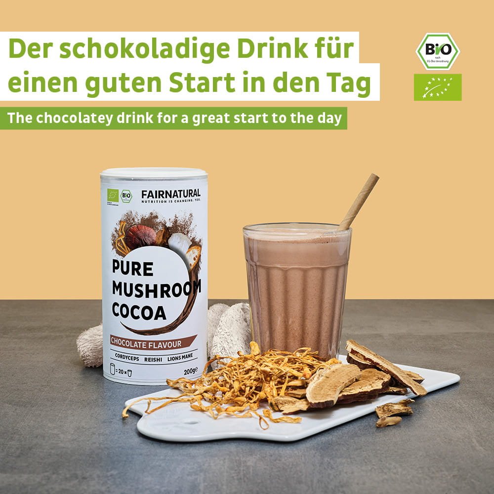Poudre de cacao bio aux champignons