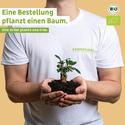 Poudre de protéine vegan bio vanille sans soja