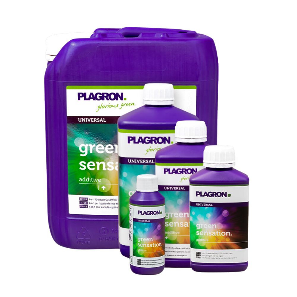 Cinq bouteilles de Plagron Green Sensation de Bertels B.V. de différentes tailles améliorent la qualité des plantes. Les bouteilles violettes avec des bouchons blancs et des étiquettes vertes et blanches améliorent la qualité de la récolte, la plus grande étant à l'arrière.