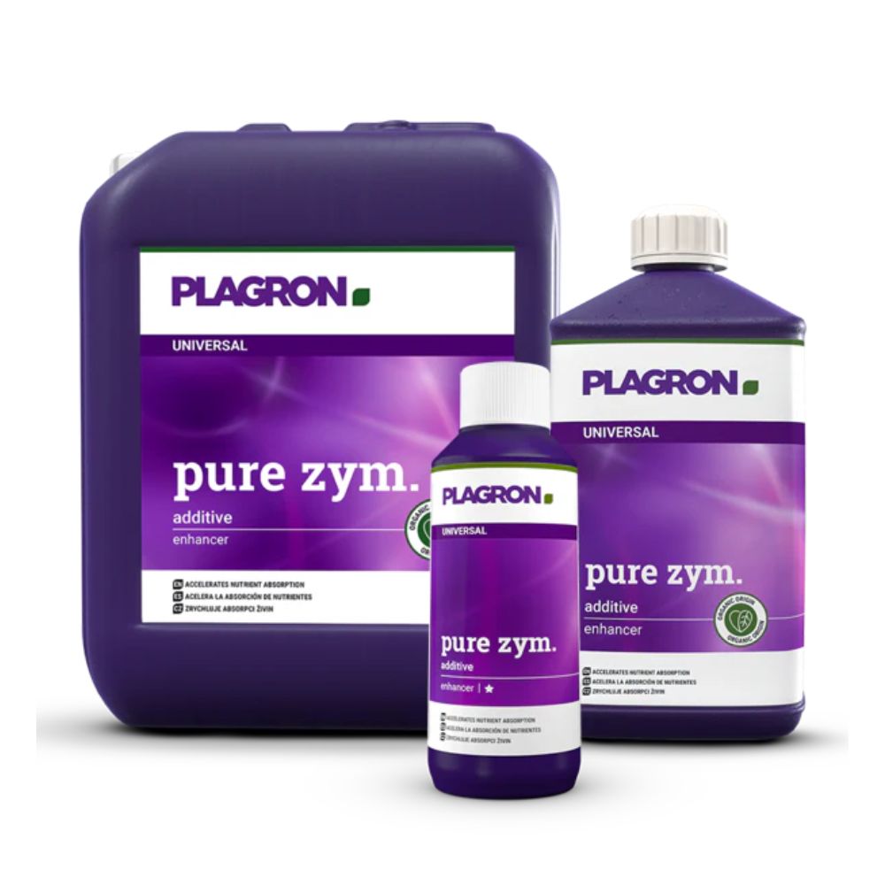 Sont présentés trois récipients avec Plagron Pure Zym de Bertels B.V., un améliorateur de sol naturel avec des enzymes. À l'arrière-plan se trouve un grand bidon violet, devant une bouteille moyenne et une petite bouteille. Chaque bouteille a une étiquette violette avec du texte blanc.
