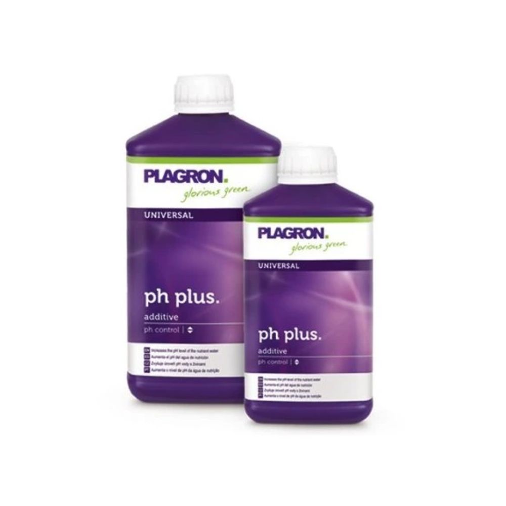 Sur un fond blanc se trouvent deux bouteilles violettes de Plagron pH Plus de Bertels B.V. avec des bouchons blancs et les inscriptions « Universel » et « Contrôle du pH ». Elles sont destinées à augmenter le pH et à optimiser l'absorption des nutriments.