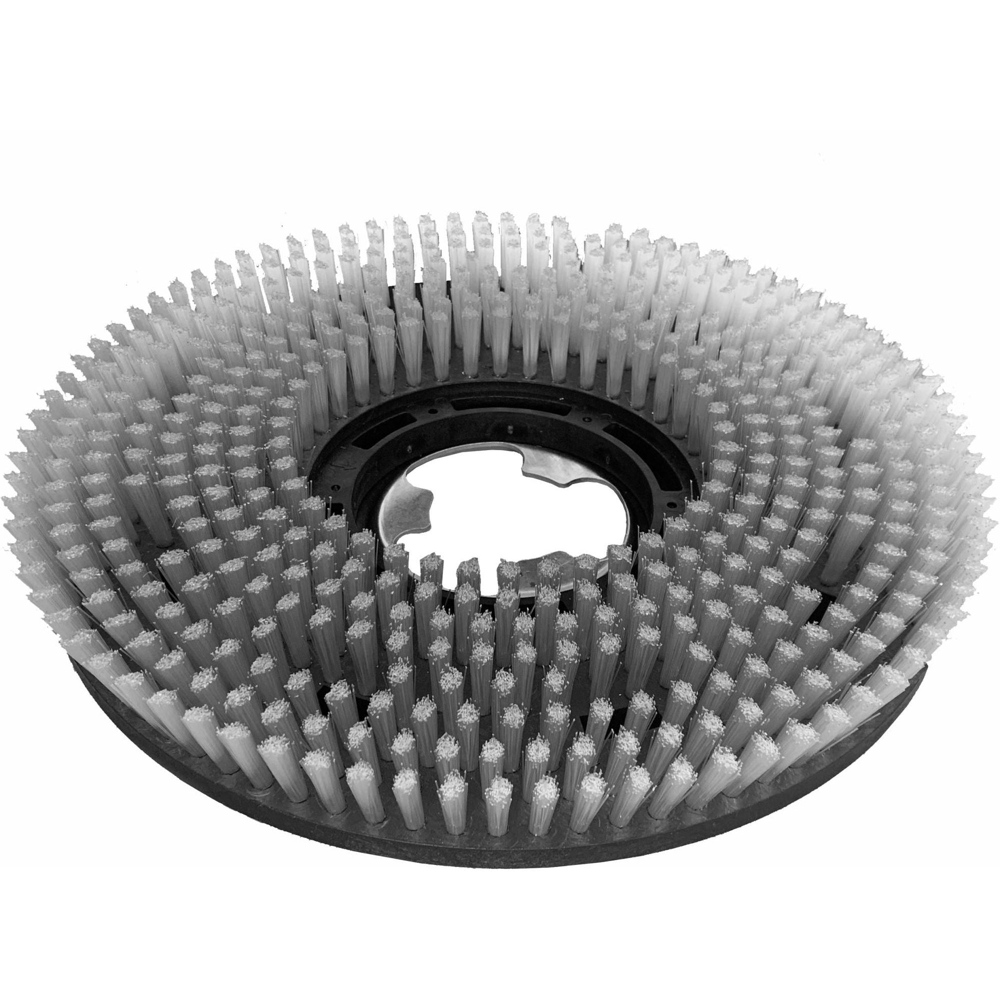 Die Arcora Sd17 Schrubbürste 17'' (43 cm) von Arcora International GmbH ist eine kreisförmige Industriereinigungsbürste mit dichten, aufrechten Borsten in konzentrischen Ringen und einem zentralen Befestigungsloch, perfekt für die Bodenreinigung; dargestellt von oben auf weißem Hintergrund.