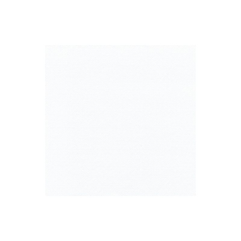 Un simple carré blanc avec une surface subtilement structurée remplit le cadre et incarne l'élégance des serviettes « ROYAL Collection » de PAPSTAR GmbH, en faisant un choix exquis pour la décoration de table.