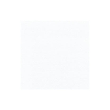 Un simple carré blanc avec une surface subtilement structurée remplit le cadre et incarne l'élégance des serviettes « ROYAL Collection » de PAPSTAR GmbH, en faisant un choix exquis pour la décoration de table.